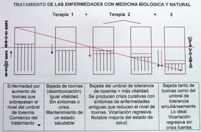 La ley de Hering y las crisis curativas se corresponden con la homotoxicología y su vicariación regresiva